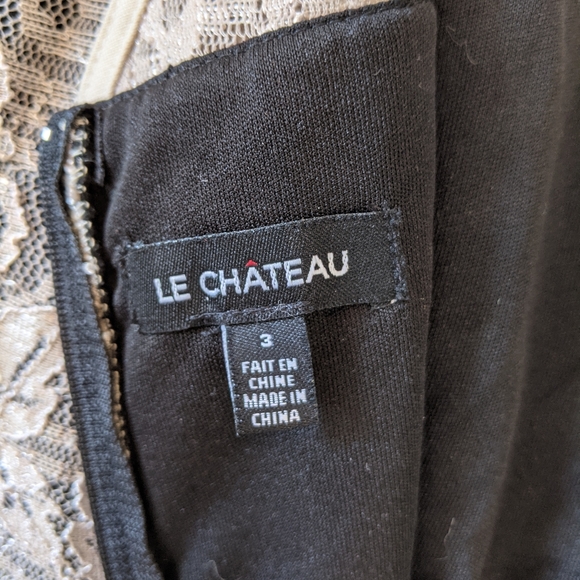 Semi formal lace and tule Le Chateau dress - Picture 7 of 7